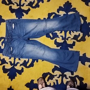 Mossimo Flare medium denim 16